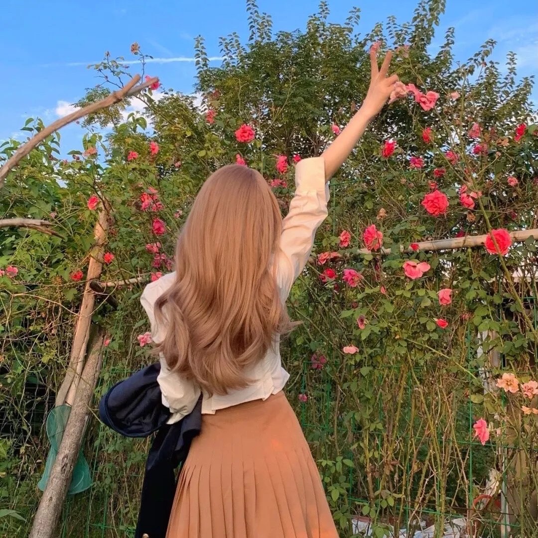 杜鹃花飞
